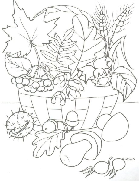 Осень раскраска для детей