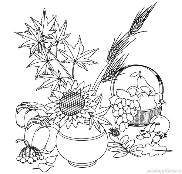 Осенний букет раскраска