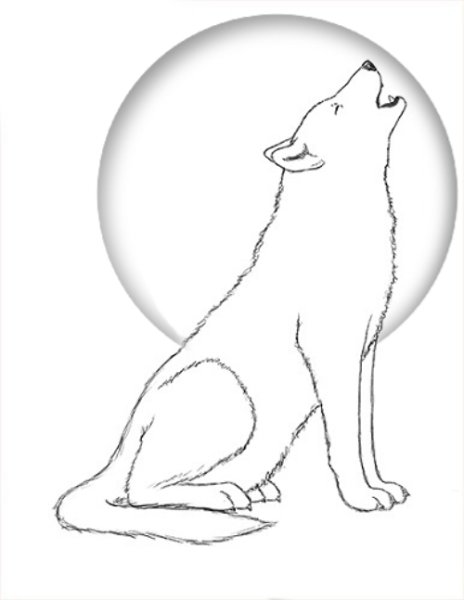 Волк воет на луну карандашом