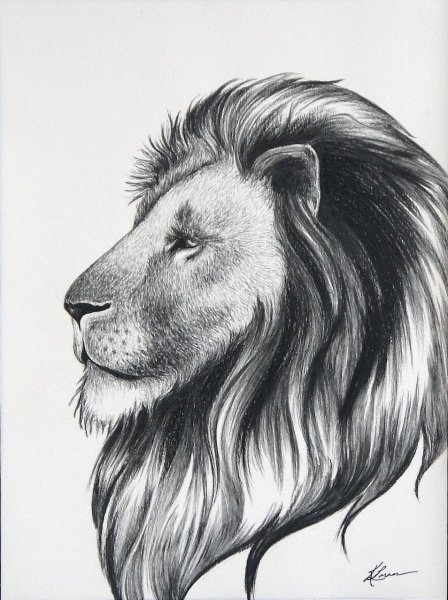 Лев карандашом