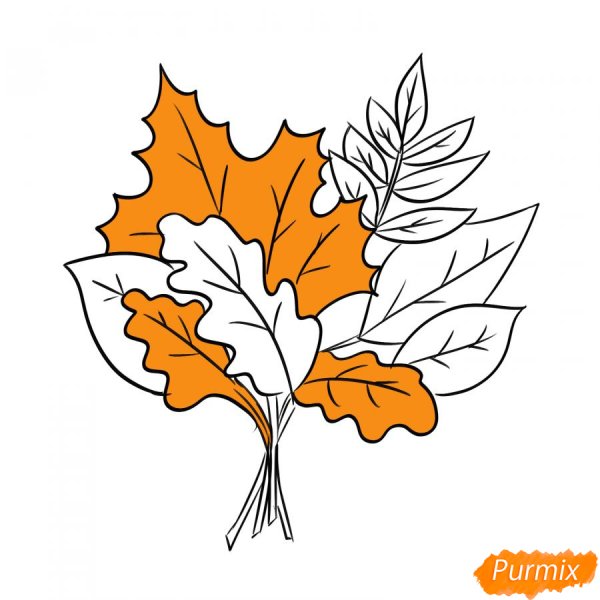 Осенний букет из листьев рисунок легкий