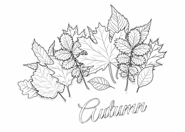 Рябина трафарет