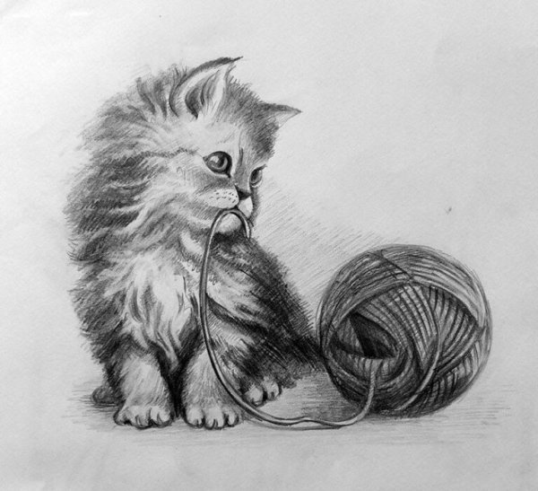 Кошка простым карандашом