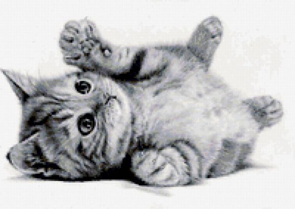 Котёнок рисунок карандашом