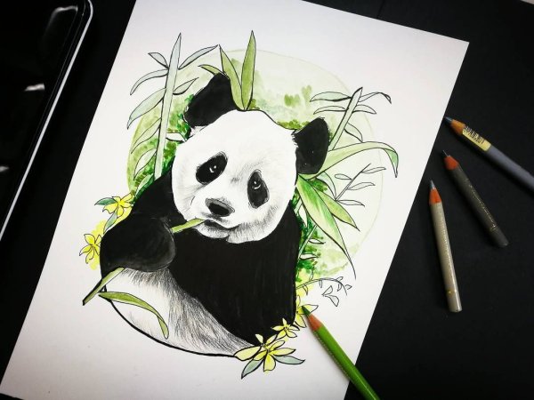 Тату Панда эскизы