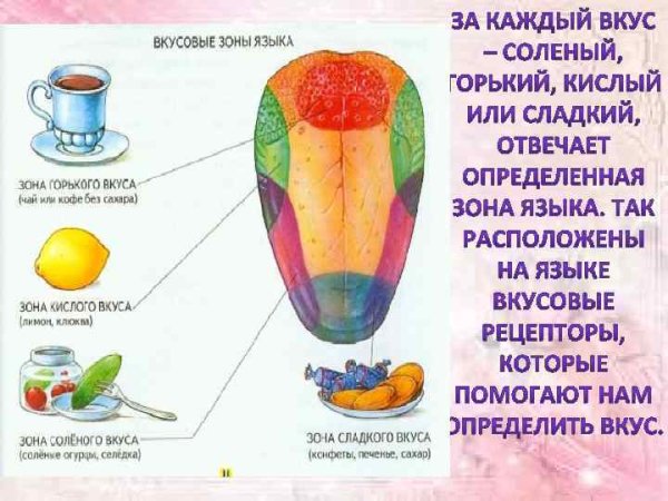 Вкусовая схема языка