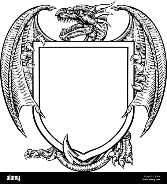 Щит рисунок