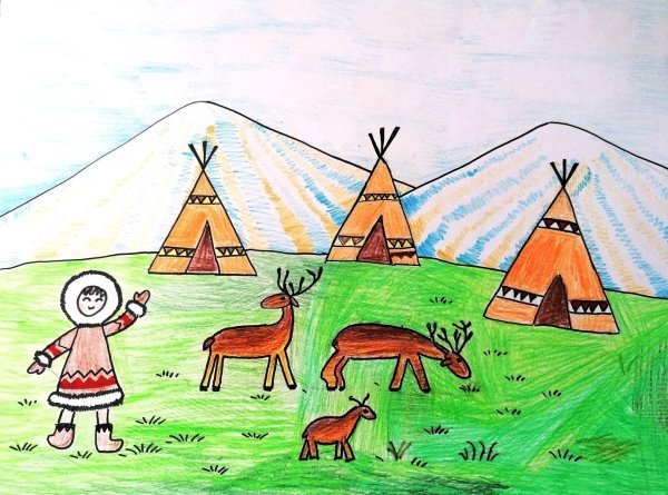 Камчатка рисунок