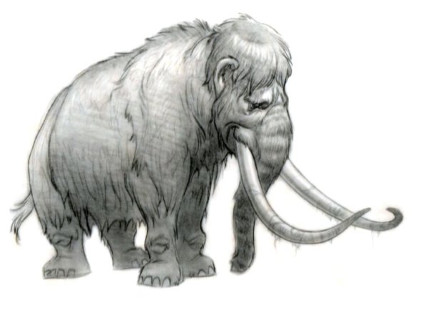 Рисование мамонта