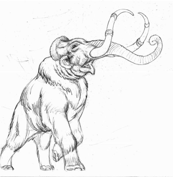 Мамонт эскиз тату