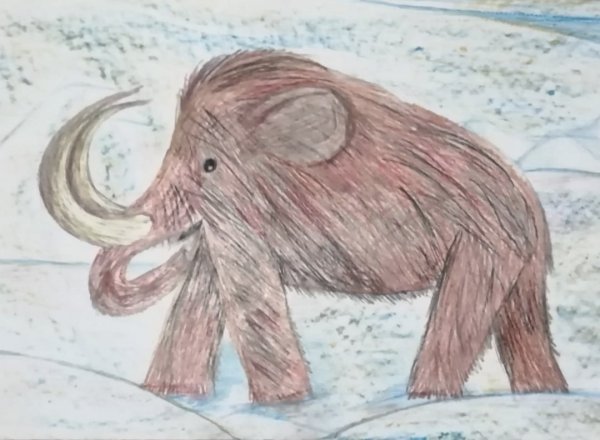 Мамонт детский рисунок