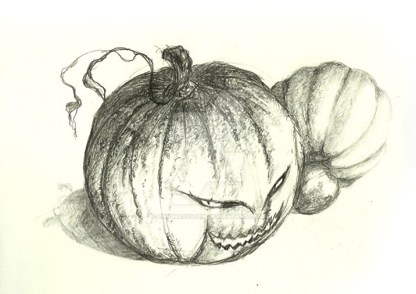 Тыква набросок