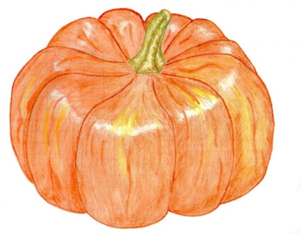 Тыква цветными карандашами