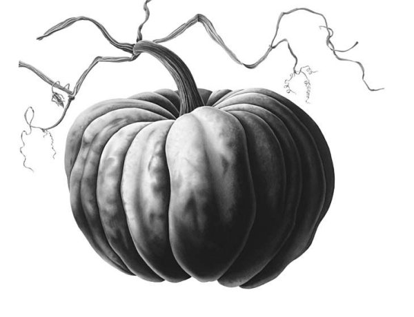 Тыква пошаговое рисование
