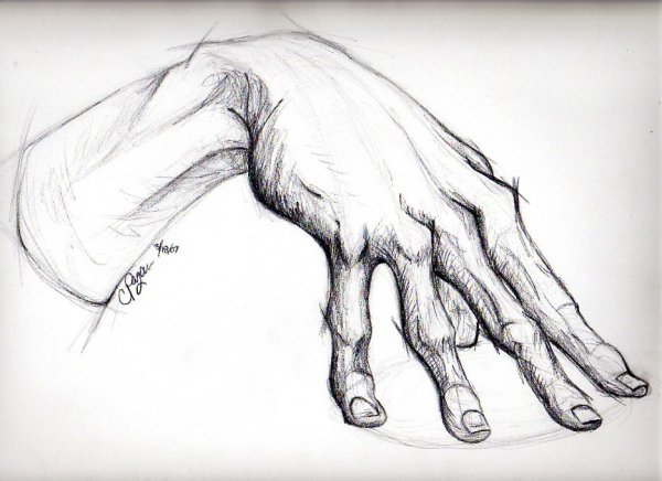 Зарисовки рук