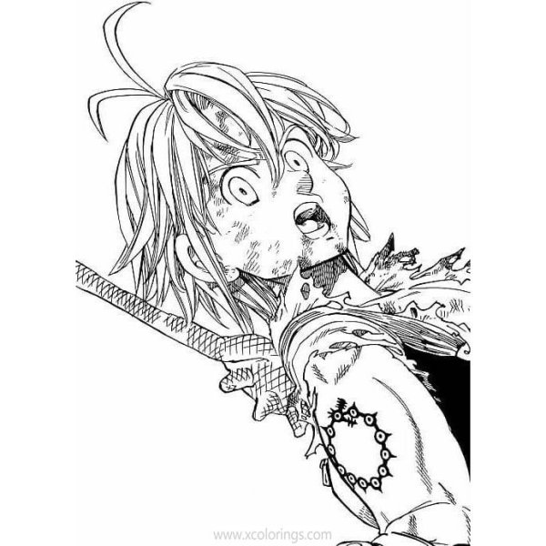 Мелиодас черно белый