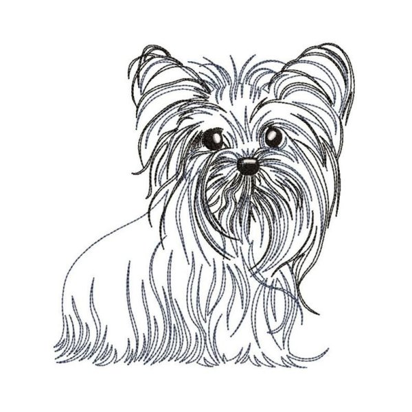 Разукрашка Йоркширский терьер