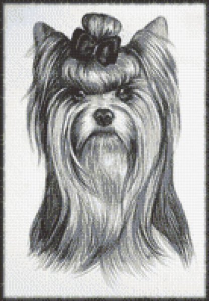 Йорк цветными карандашами