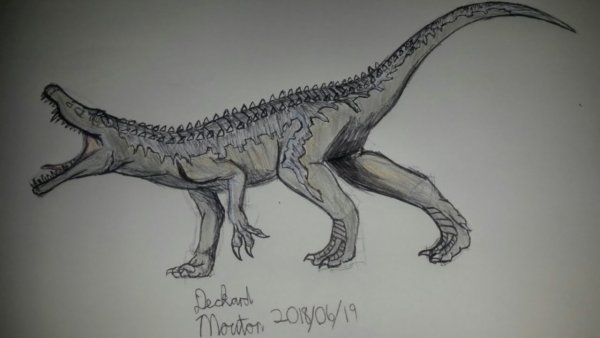 Карнозавр рисунок