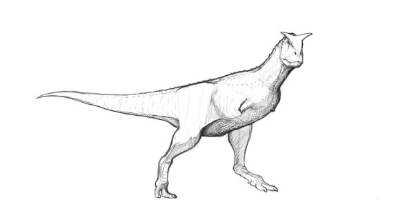 Карнотавр динозавр раскраска