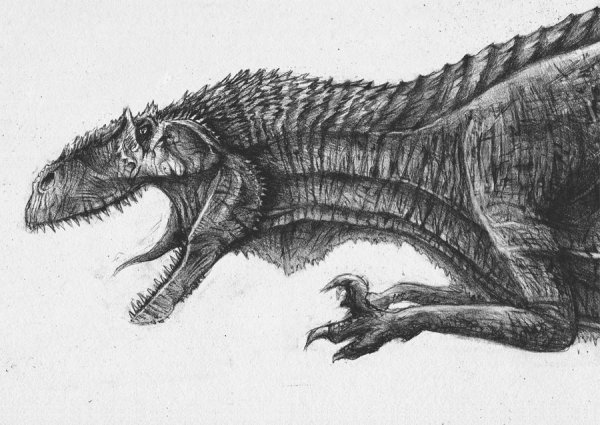 Карнотавр раскраска огневой