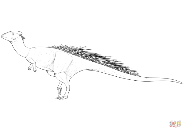 Раскраски КАРХАРОДОНТОЗАВРА