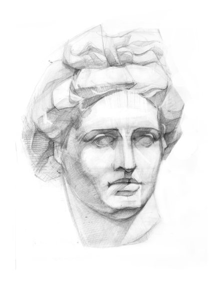 Голова Венеры Милосской Академический рисунок