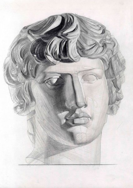 Построение гипсовой головы Гаттамелаты