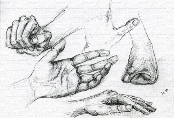 Наброски кистей рук