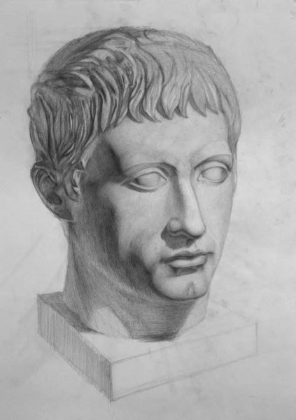 Антиной Академический рисунок