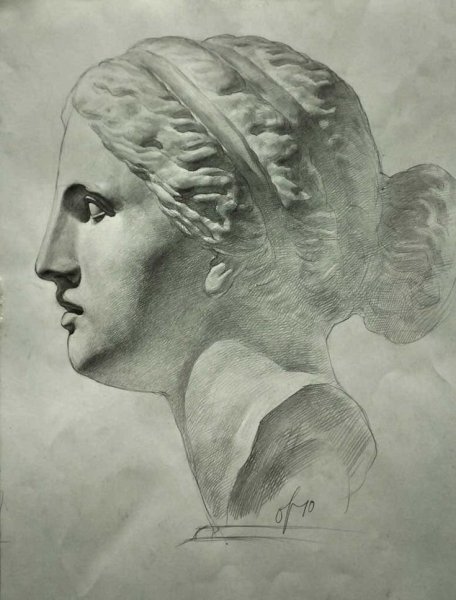 Аполлон Бельведерский голова рисунок