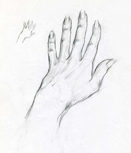 Руки карандашом