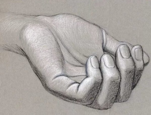 Руки карандашом