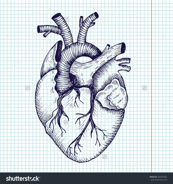 Рисунки для срисовки сердце