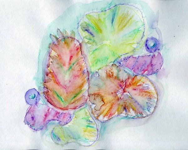 Рисование акварельными карандашами