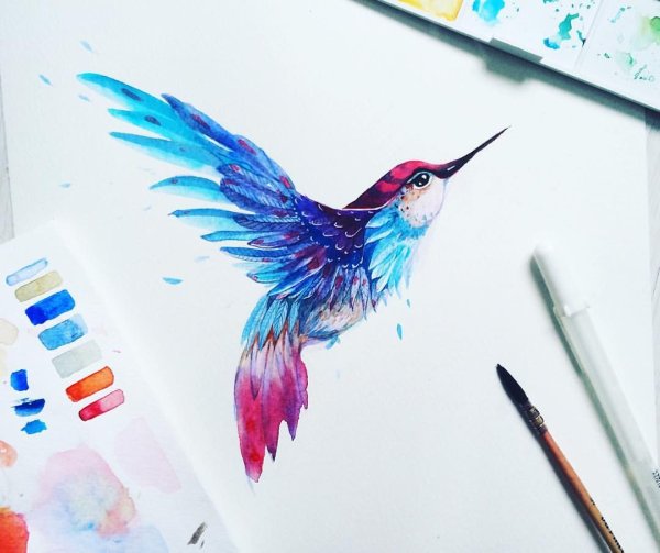 Живопись акварельными карандашами