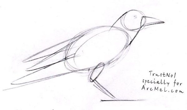 Нарисовать Грача карандашом