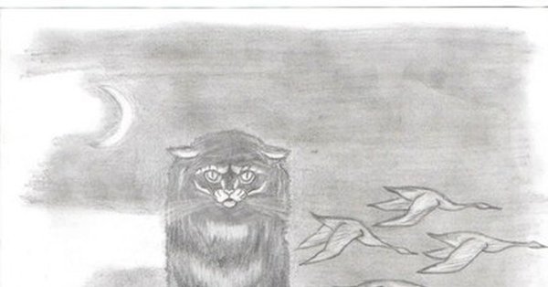 Графика гелевой ручкой кот