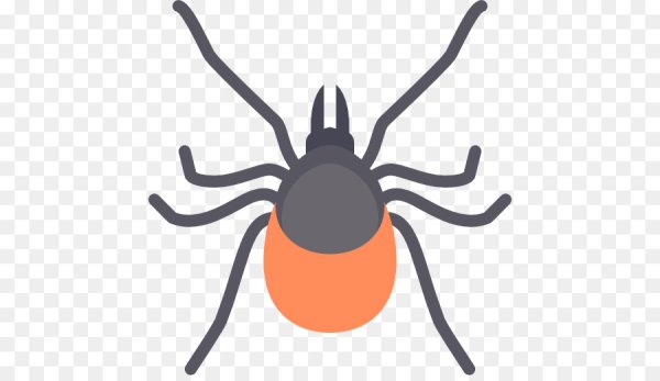 Клещ вектор