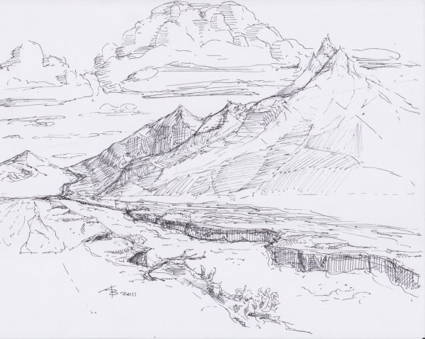 Наброски коры дерева