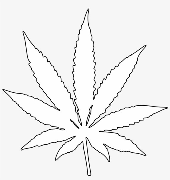 Лист конопли рисунок