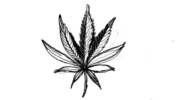 Лист конопли эскиз