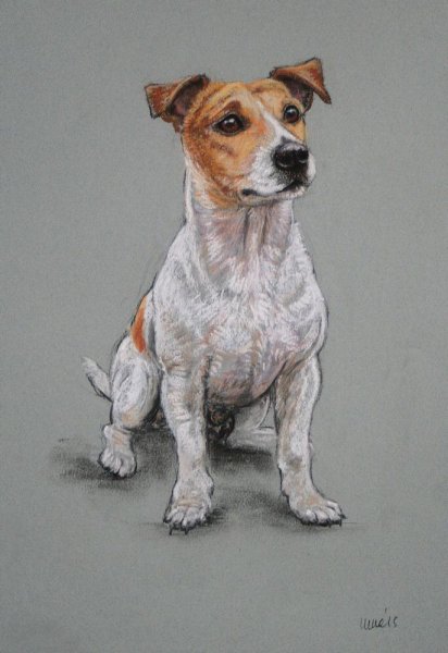 Джек Рассел терьер арт