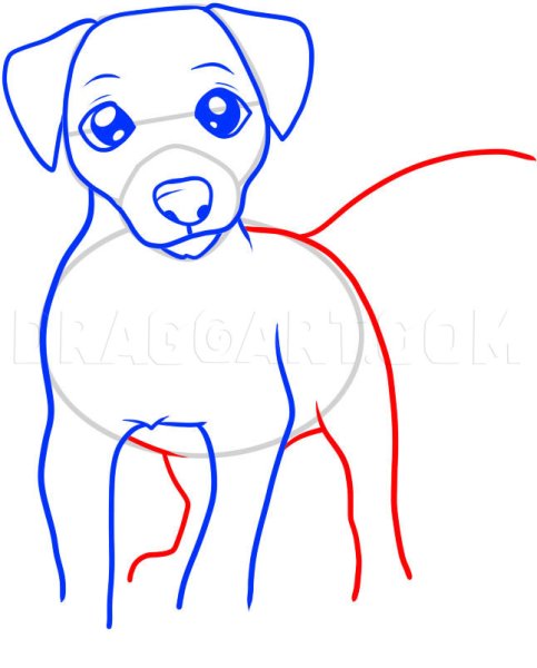 Нарисовать як терьера