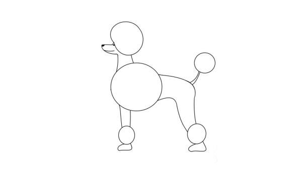 Рисование с дошкольниками пудель