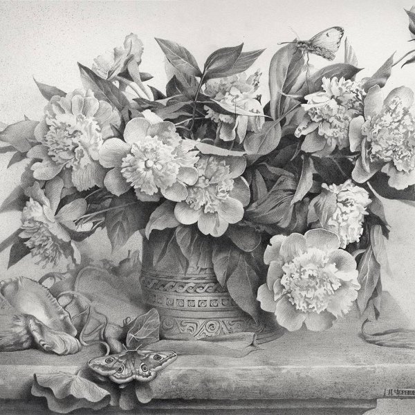 Натюрморт цветы карандашом