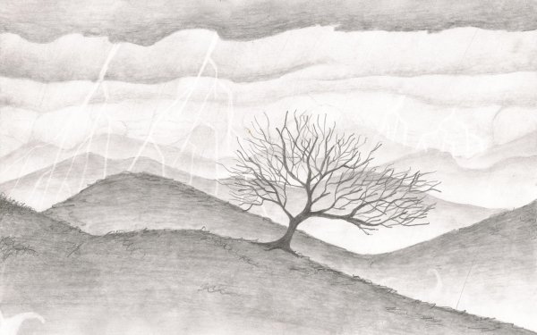 Иллюстрации Zhang Weber