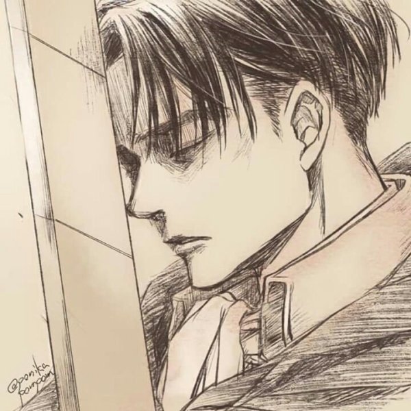 Леви Аккерман для срисовки