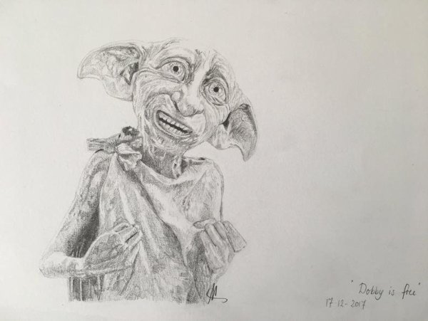 Добби с носком раскраска