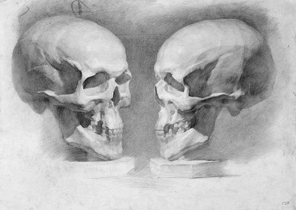 Академический рисунок Академия Репина череп